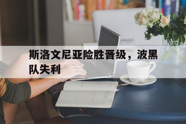 天博-斯洛文尼亚险胜晋级,波黑队失利了吗